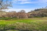 3568 Shallow Springs - Photo 13