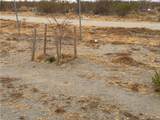3185 Olivera Road - Photo 6