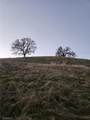 0 Rolling Oaks - Photo 13