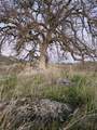 0 Rolling Oaks - Photo 15
