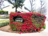 15775 Midwood Drive - Photo 32