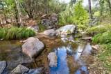 42893 Scenic Drive - Photo 5