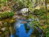 42893 Scenic Drive - Photo 63