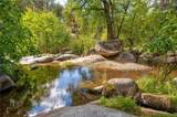 42893 Scenic Drive - Photo 65