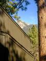 53590 Jeffrey Pine Road - Photo 32