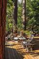 53590 Jeffrey Pine Road - Photo 56