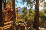 53590 Jeffrey Pine Road - Photo 6