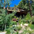 53590 Jeffrey Pine Road - Photo 61