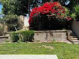 6033 Paseo Hermosa - Photo 9