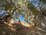 28618 Chihuahua Valley Road - Photo 22