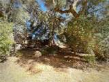 28618 Chihuahua Valley Road - Photo 23