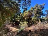 28618 Chihuahua Valley Road - Photo 26