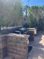 14200 #157 Indian Canyon Drive - Photo 4