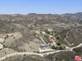 31830 Lobo Canyon - Photo 60