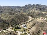 31830 Lobo Canyon - Photo 62