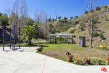 31830 Lobo Canyon - Photo 68