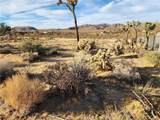 61329 Rocky Vista Lane - Photo 10