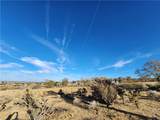61329 Rocky Vista Lane - Photo 31
