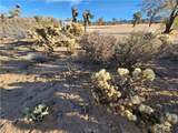 61329 Rocky Vista Lane - Photo 8