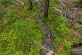 7373 Henness Ridge Road - Photo 10