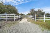 42941 Kalmia Street - Photo 2