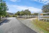 42941 Kalmia Street - Photo 3