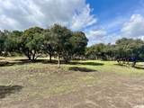42941 Kalmia Street - Photo 4