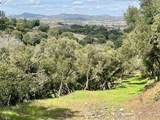 42941 Kalmia Street - Photo 7