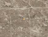 0 Avenue E - Photo 1