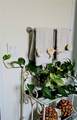23722 Via Pellicer - Photo 27