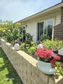 23722 Via Pellicer - Photo 44