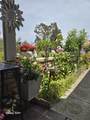 23722 Via Pellicer - Photo 45