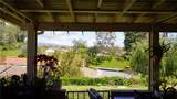 23722 Via Pellicer - Photo 47