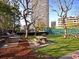 800 1st Street - Photo 14