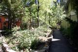 41935 Switzerland Drive - Photo 60