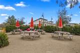 3625 Delight Paseo - Photo 44