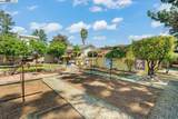 41351 Fremont Blvd - Photo 26