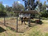 554 Taylor Street - Photo 7