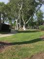 1361 Camelot Drive - Photo 30
