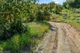 48825 Via Vaquero - Photo 13