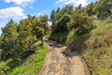 48825 Via Vaquero - Photo 14