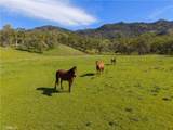 10950 Bachelor Valley Road - Photo 10