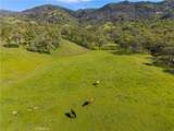 10950 Bachelor Valley Road - Photo 12