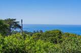 24324 San Juan Road - Photo 6