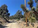41112 Jack Rabbit Road - Photo 1