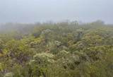 0 Quartz - Photo 8