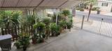 30949 Palmetto Palm Avenue - Photo 28