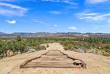 37316 Goldshot Creek Road - Photo 83