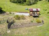 1560 Tindall Ranch Road - Photo 37