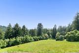 1560 Tindall Ranch Road - Photo 49